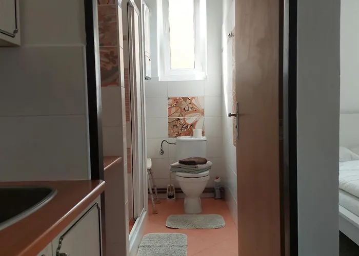 招待所 Tgm Příbram